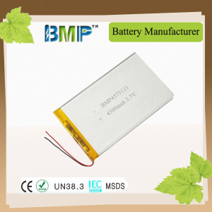 li-polymer4573121